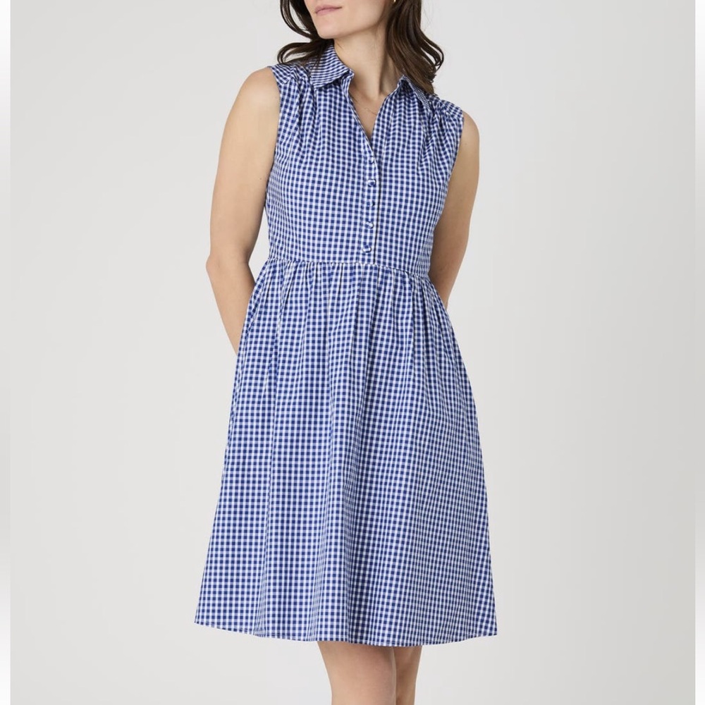 French Connection Blue Gingham Dress